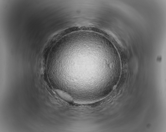 X0000097901063200803211436