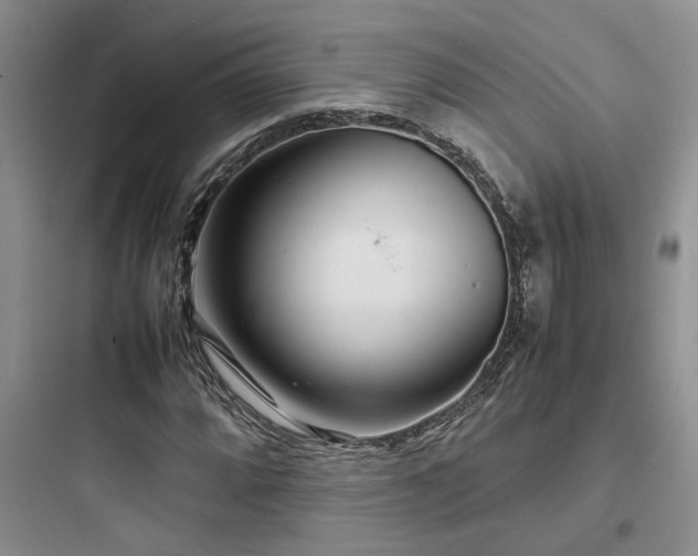 X0000097901064200803211436