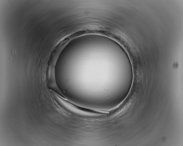 X0000097901065200803211436