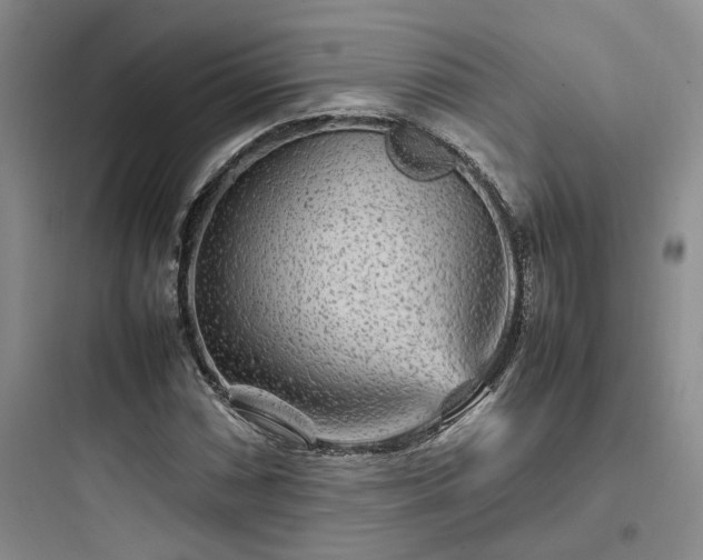 X0000097901066200803211436