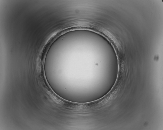 X0000097901067200803211436