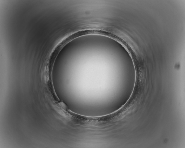 X0000097901069200803211436