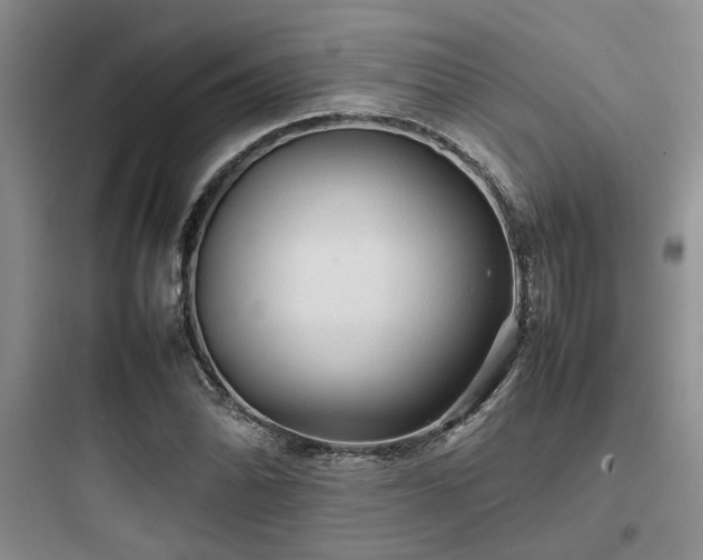 X0000097901070200803211436