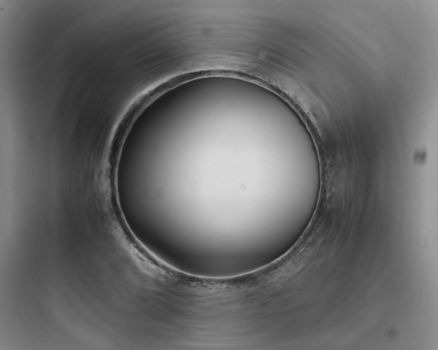 X0000097901072200803211436