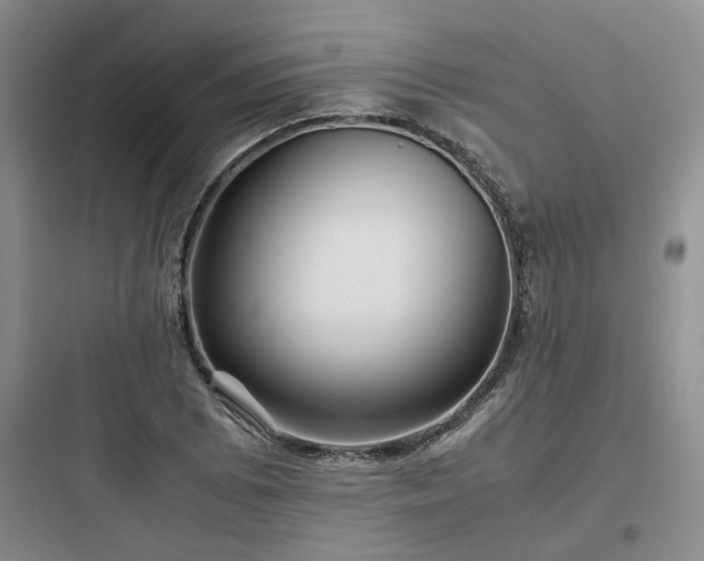 X0000097901073200803211436
