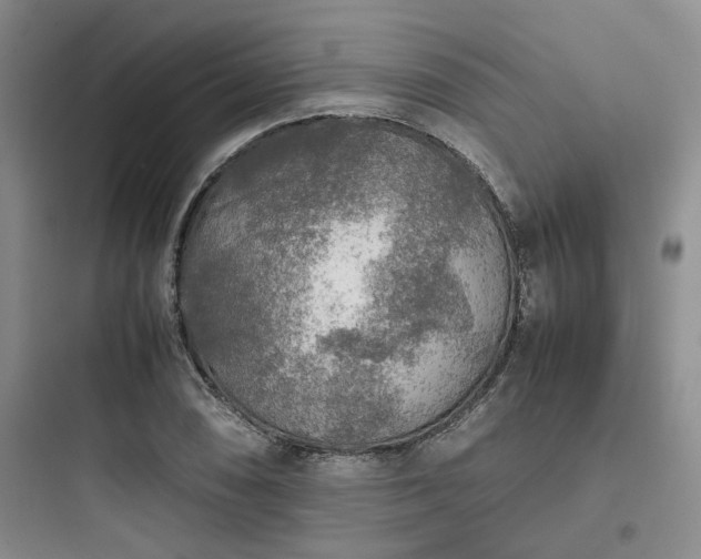 X0000097901074200803211436