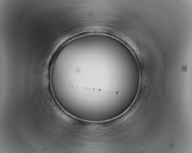 X0000097901075200803211436