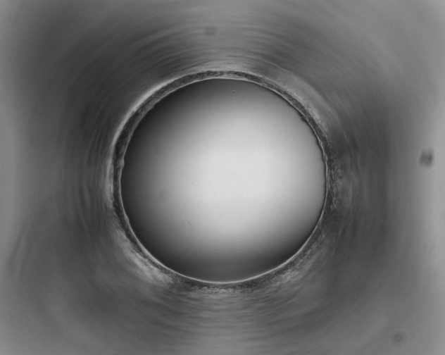 X0000097901076200803211436