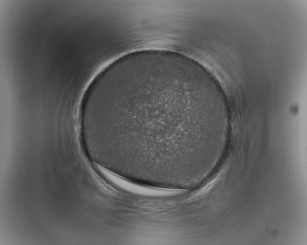 X0000097901077200803211436