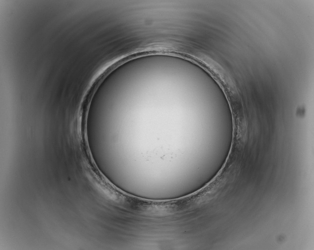 X0000097901078200803211436