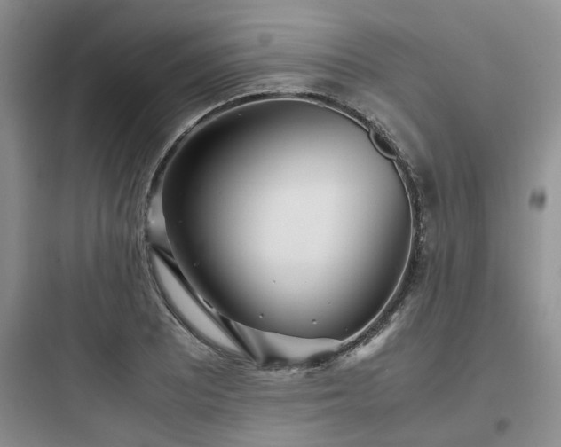 X0000097901081200803211436