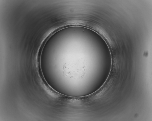 X0000097901082200803211436