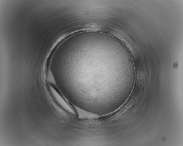 X0000097901083200803211436