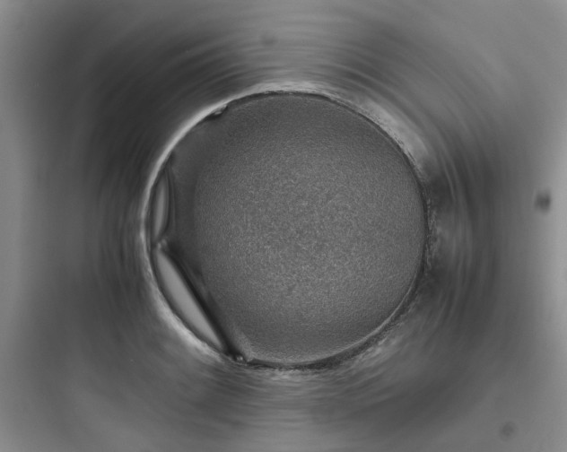 X0000097901084200803211436