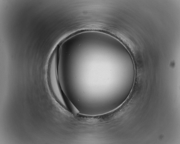 X0000097901085200803211436