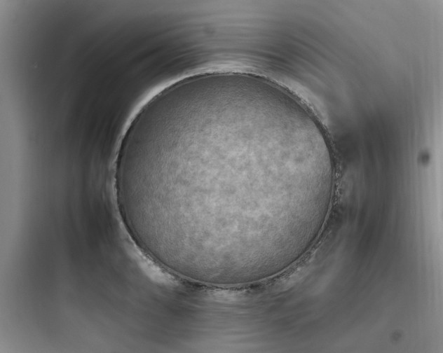 X0000097901086200803211436