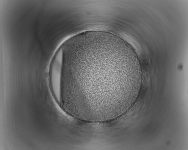 X0000097901087200803211436