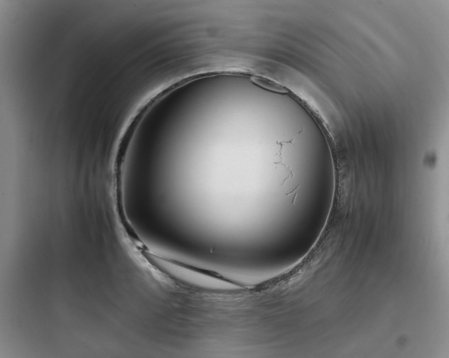 X0000097901088200803211436