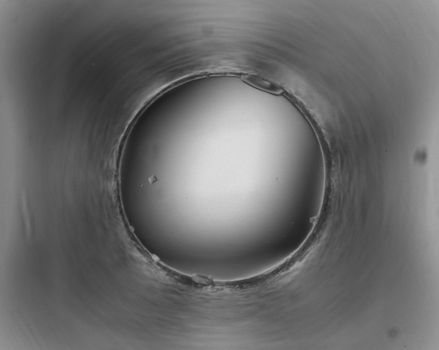 X0000097901089200803211436