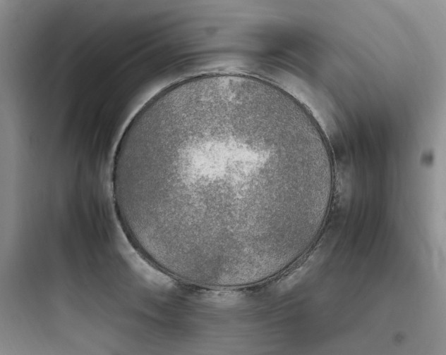 X0000097901090200803211436