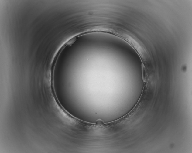 X0000097901092200803211436