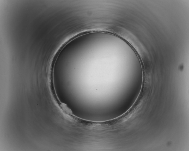 X0000097901093200803211436