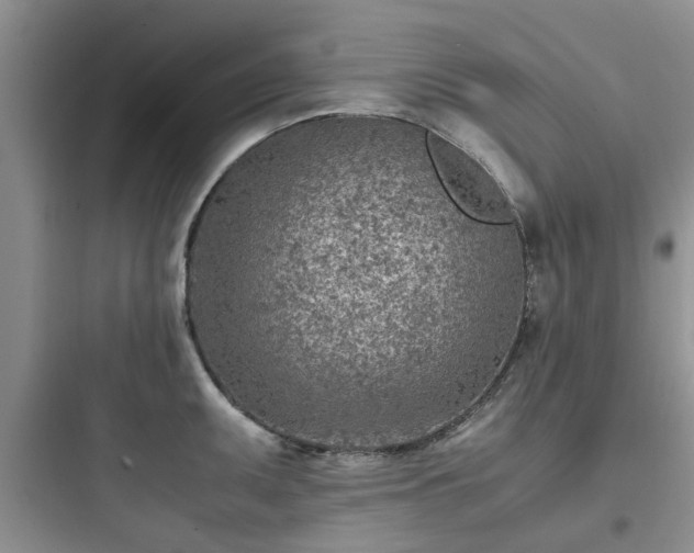 X0000097901095200803211436