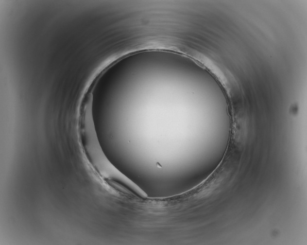 X0000097901096200803211436