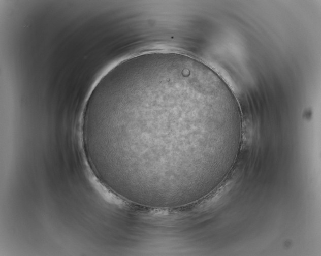 X0000097901098200803211436