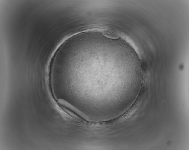 X0000097901099200803211436
