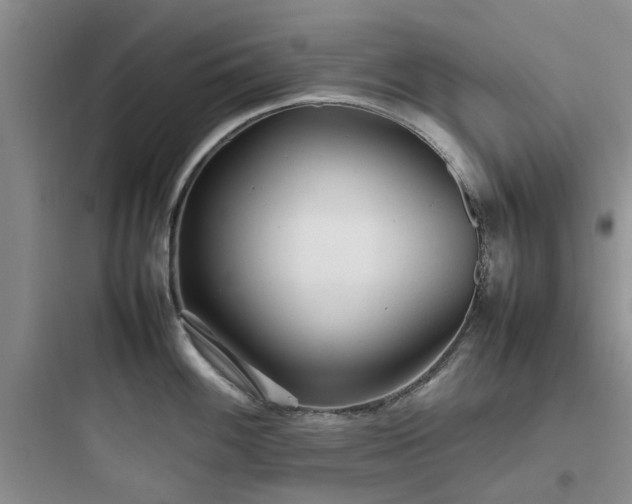 X0000097901100200803211436