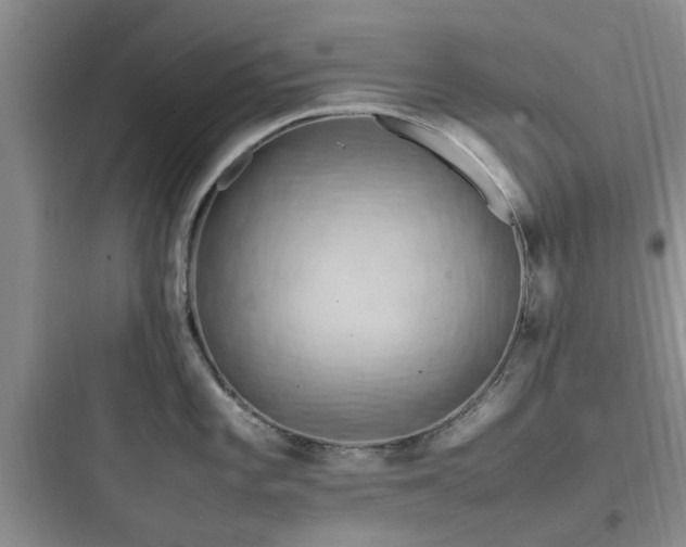X0000097901101200803211436