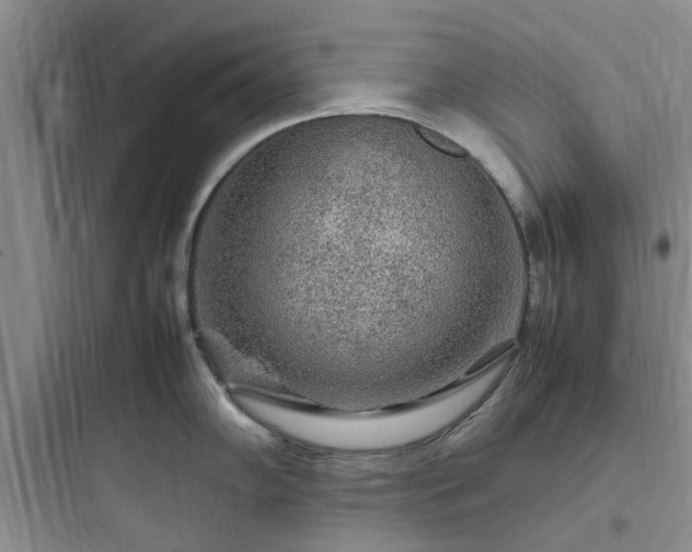 X0000097901102200803211436