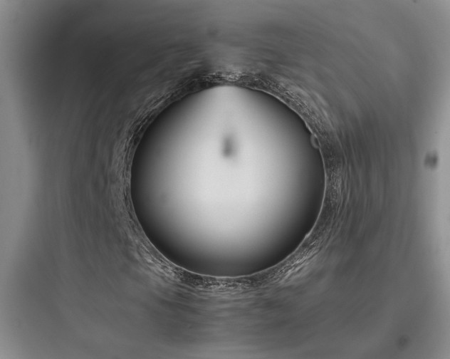 X0000097901105200803211435