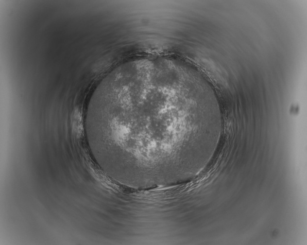 X0000097901106200803211435