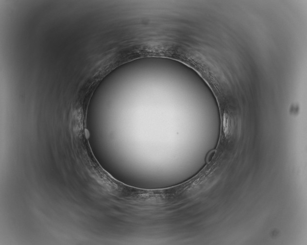 X0000097901107200803211435