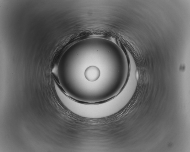 X0000097901108200803211435