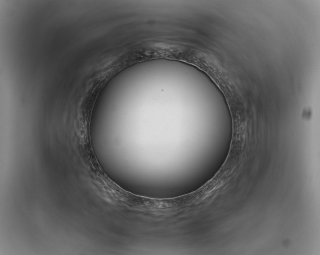 X0000097901109200803211435