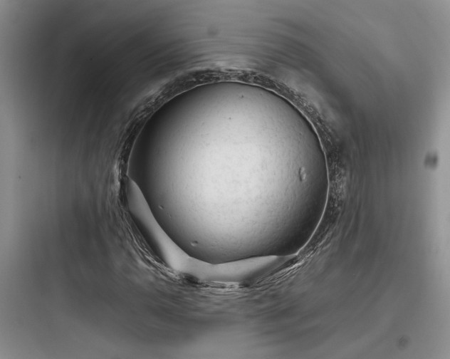 X0000097901110200803211435