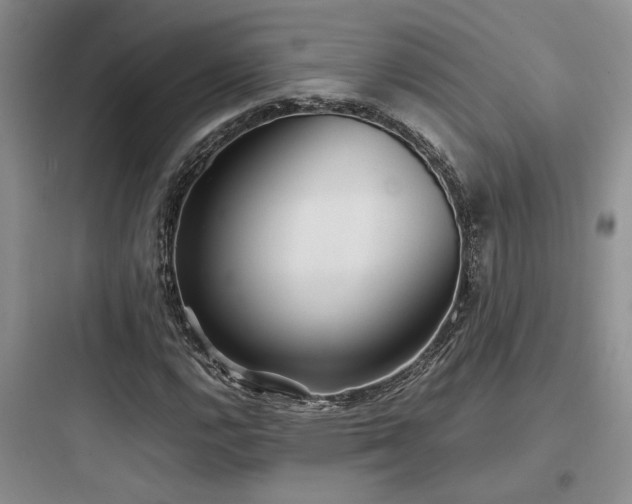 X0000097901112200803211435