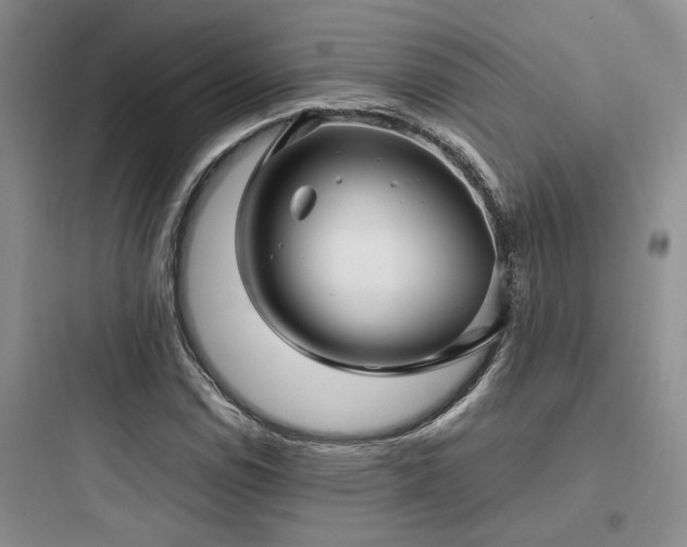 X0000097901114200803211435