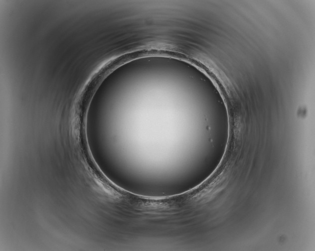 X0000097901115200803211435