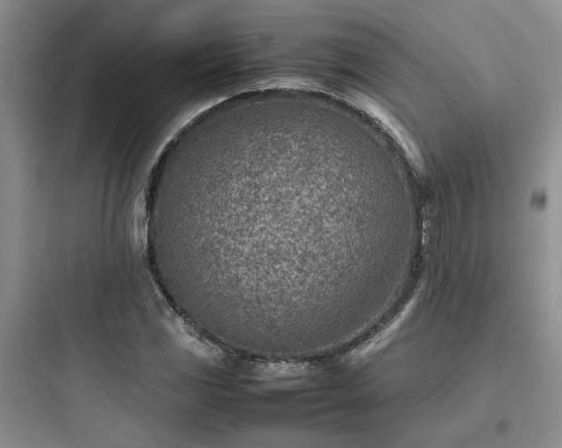 X0000097901117200803211435