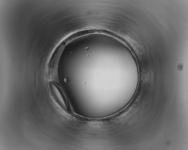 X0000097901118200803211435