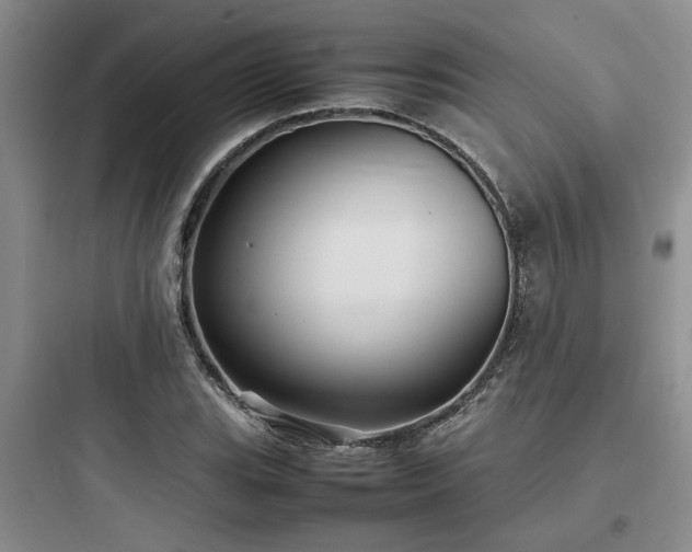 X0000097901119200803211435