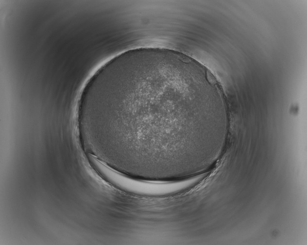 X0000097901120200803211435