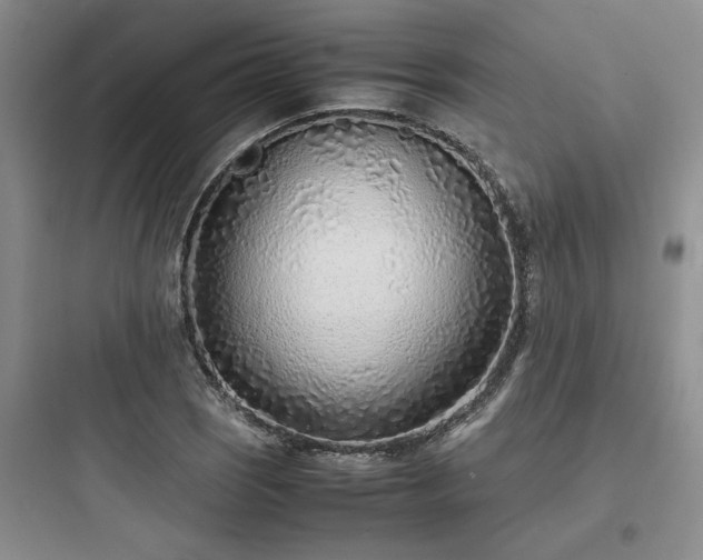 X0000097901121200803211435