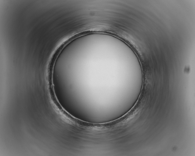 X0000097901122200803211435