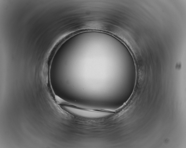 X0000097901123200803211435