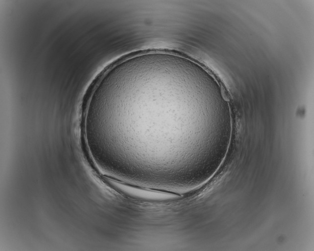 X0000097901124200803211435